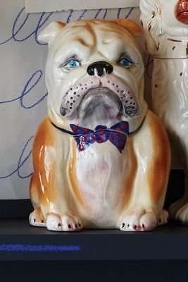 Anthropologie Pedigreed Cookie Jar, Bulldog