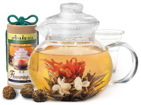 Primula Flowering Teapot Gift Set