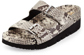 Ash Takoon Snake-Embossed Leather Sandal, Roccia