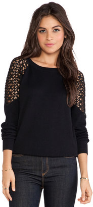 Shae Lace Sleeve Pullover