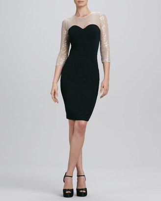Erin Fetherston Erin by Illusion Lace Cocktail Dress