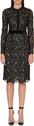 Erdem Fitted lace midi dress