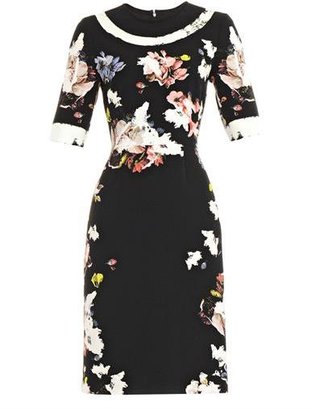Erdem Ivy floral-print dress