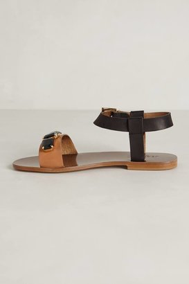 Jeannot Gem Line Sandals