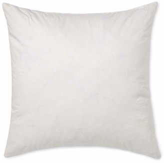 Williams-Sonoma Williams Sonoma Decorative Pillow Insert, 18" X 18"