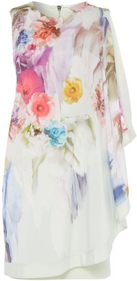 Ted Baker Dahnni floral printed dress