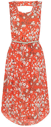 Oasis Japanese Blossom Midi Dress, Multi
