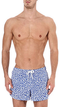 M Blue Franks Cheetah swim shorts - for Men