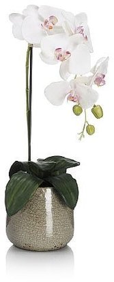 Marks and Spencer Artificial Orchid in Crackle Ceramic Vase