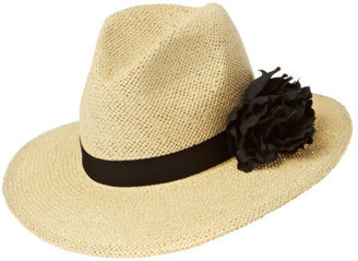 French Connection Dashee  Womens  Hat - Natural