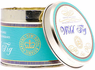 Kew Gardens Scented Candle Tin, Fig