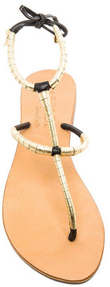 L-Space by Cocobelle Milano Sandal