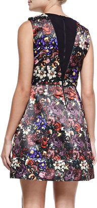 Alice + Olivia Kiro Deep-V Floral-Print Dress