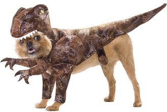 JCPenney Animal Planet Raptor Pet Costume