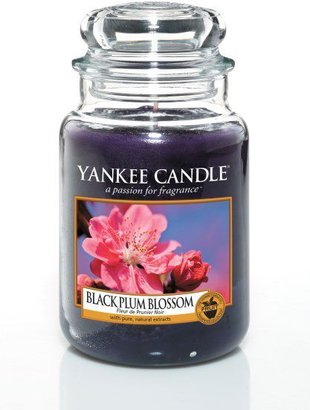 Yankee Candle Plum Blossom large jar