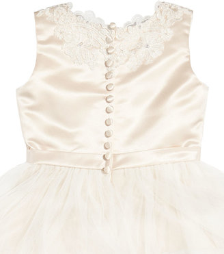 Joan Calabrese Satin and Tulle Embroidered-Lace Dress, Rum Pink/Ivory, Sizes 2-14