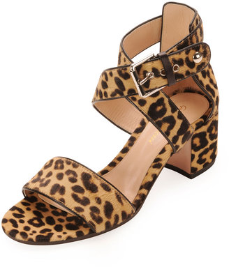 Gianvito Rossi Leopard-Print Calf Hair Low-Heel Sandal