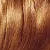 Garnier Nutrisse Nourishing Color Foam Permanent Haircolor Dark Golden Blonde 7G