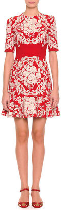 Dolce & Gabbana Embroidered Floral Dress, Red/White