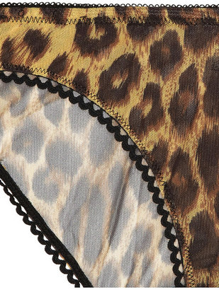 Deborah Marquit Leopard-print stretch-tulle briefs