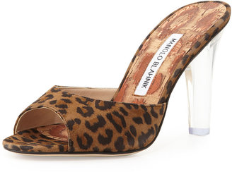 Manolo Blahnik Astuta Suede Clear-Heel Slide Sandal, Leopard