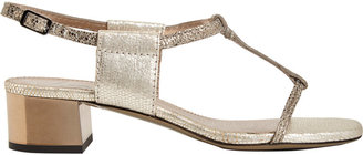 Lanvin Snakeskin T-strap Sandals