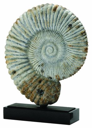 Fossil Arteriors Marble/Iron Shell Sculpture