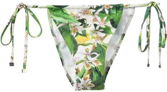 Dolce & Gabbana blossom print bikini bottoms