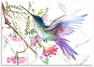 Americanflat Hummingbird 14 Print Art, Print Only