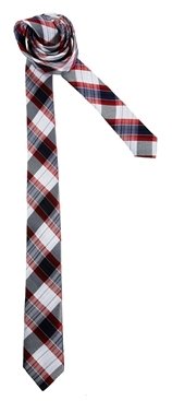 Selected Adam Checked Tie