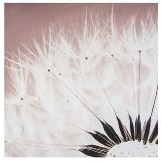 Graham & Brown Delicate dandelion with glitter wall art