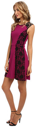 ABS by Allen Schwartz Stretch Crepe Fit and Flare Dress with Scallop Lace