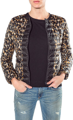 Moncler Soufre Leopard Printed Quilted Jacket