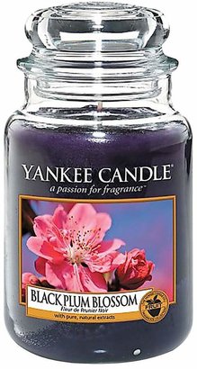 Yankee Candle Large Jar - Black Plum Blossom