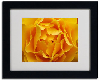 'Hypnotic Yellow Rose' Matted Framed Canvas Print by Kurt Shaffer, 16" x 20"