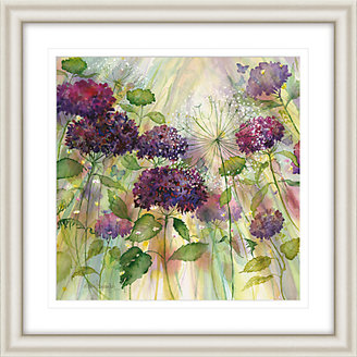 John Lewis 7733 John Lewis Catherine Stephenson - Purple Hydrangea Framed Print, 90.5 x 90.5cm