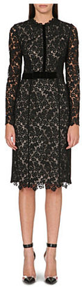 Erdem Fitted lace midi dress