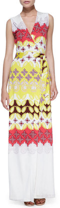 Diane von Furstenberg New Yahzi Border-Print Maxi Wrap Dress