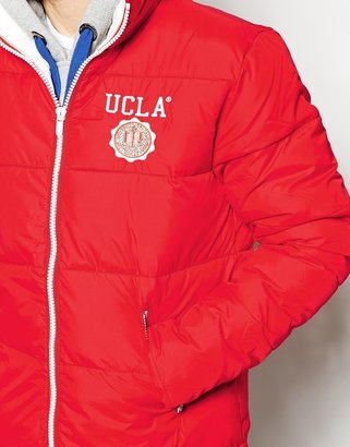 B.young UCLA Padded Jacket
