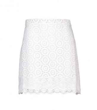 Vanessa Bruno Embroidered Cotton And Silk Organza Skirt