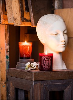 Diptyque Ambre (Amber) Scented Candle