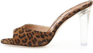 Manolo Blahnik Astuta Suede Clear-Heel Slide Sandal, Leopard