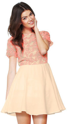 Love Label Neon Lace Bodice Prom Dress in Pink / Cream