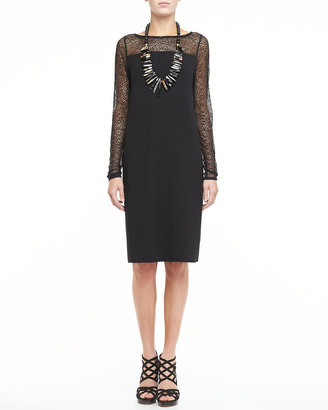 Eileen Fisher Dress With Lace Neck and Sleeves