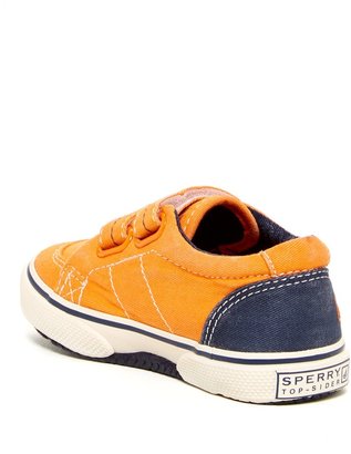 Sperry Halyard Velcro Strap Sneaker - Wide Width Available (Toddler & Little Kid)