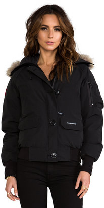 Canada Goose Chilliwack Bomber with Coyote Fur trim