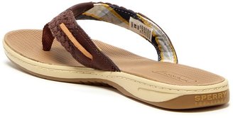 Sperry Parrotfish Thong Sandal