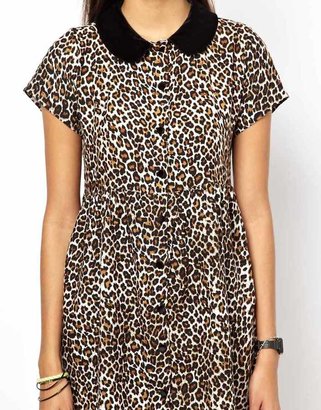 Motel Beatrix Collar Shift Dress in Leopard