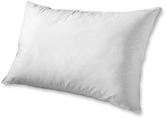 Eddie Bauer Unisex-Adult Superior Down Pillow, White STNDRD