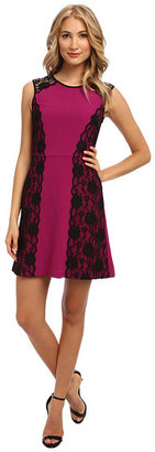 ABS by Allen Schwartz Stretch Crepe Fit and Flare Dress with Scallop Lace